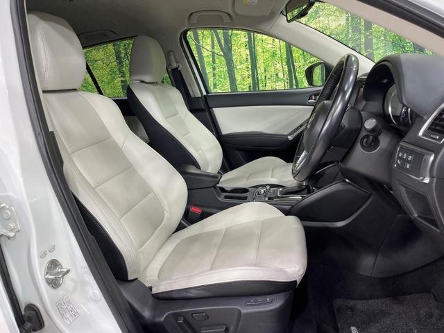 26105955_carP_l_17.jpg