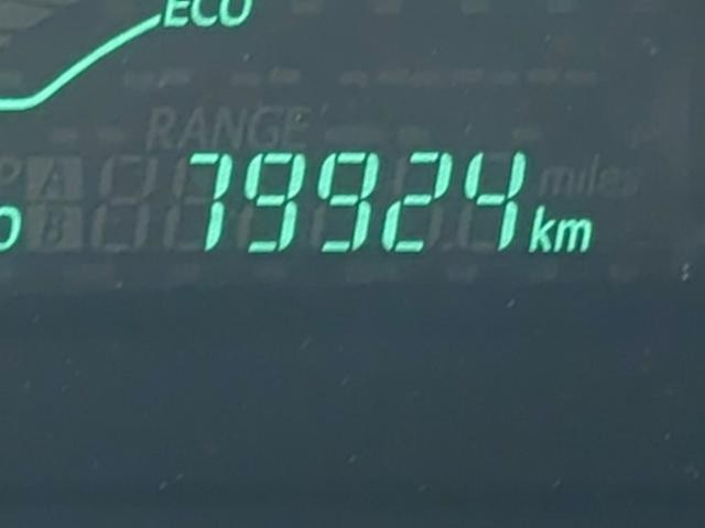 26089936_carP_l_2.jpg