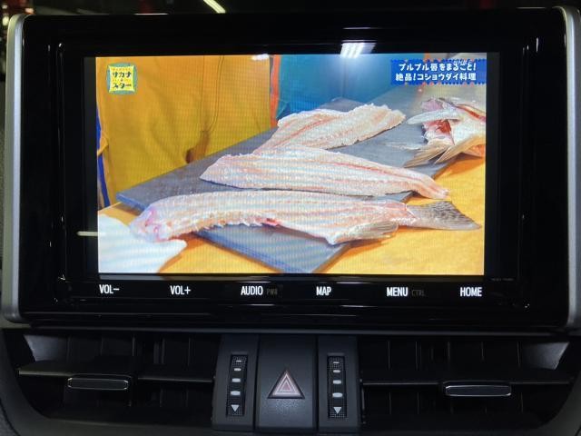 26583628_carP_l_14.jpg