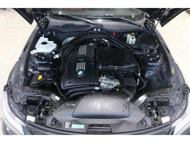 24933526_carP_l_17.jpg