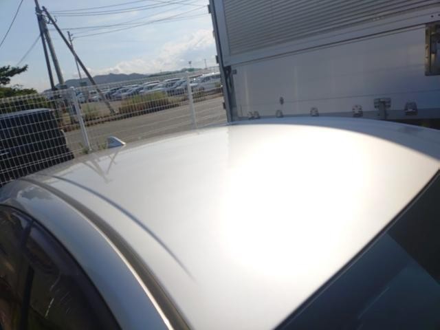 26089945_carP_l_14.jpg