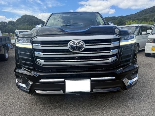 0126623A30261003W00101.jpg