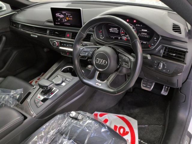 24937766_carP_l_15.jpg