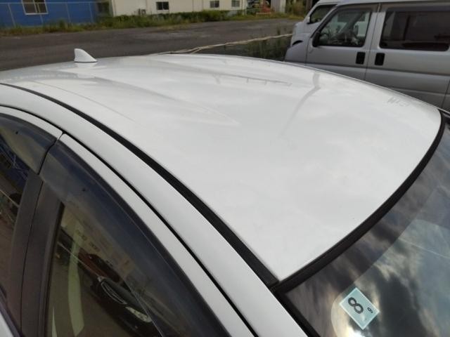 26089954_carP_l_14.jpg
