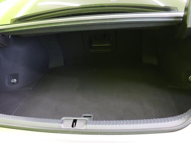 24741208_carP_l_5.jpg