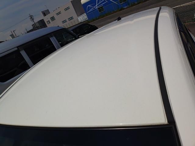 26089955_carP_l_14.jpg