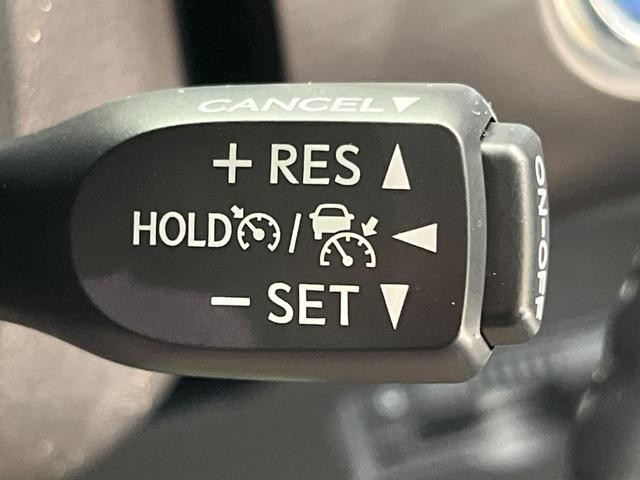 26402580_carP_l_13.jpg