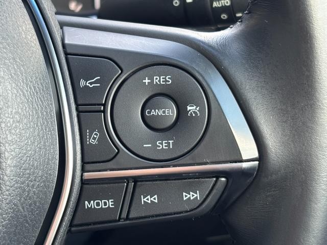 0805200A20260926W00203.jpg
