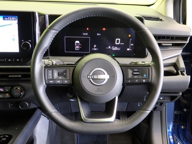 25957431_carP_l_13.jpg