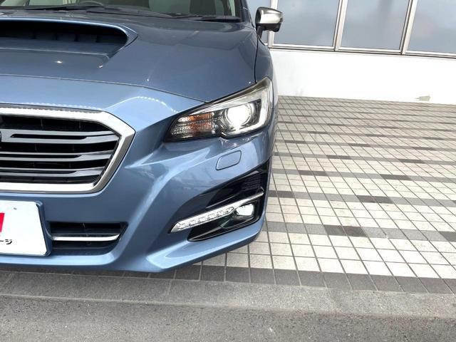 26106255_carP_l_17.jpg