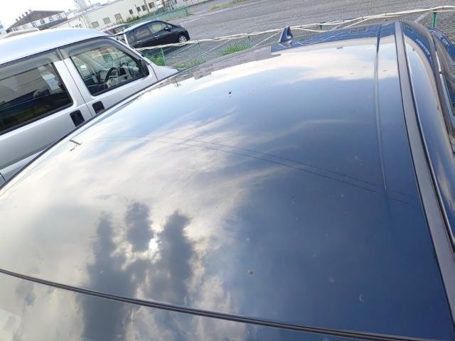 26089959_carP_l_14.jpg