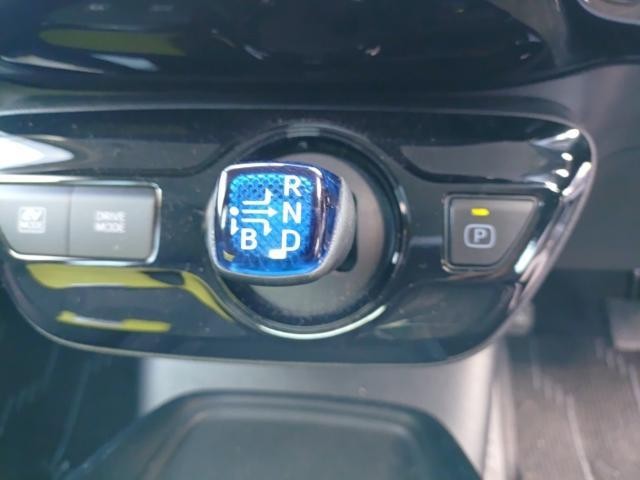 26089959_carP_l_6.jpg