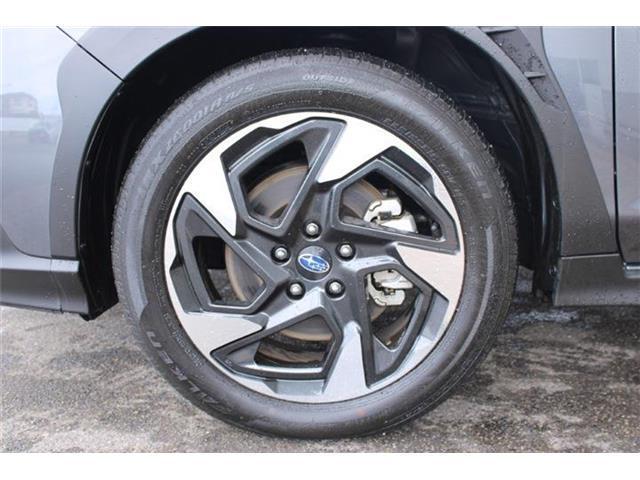 f541eb0e6162adaad992ab603876ffd2.jpg