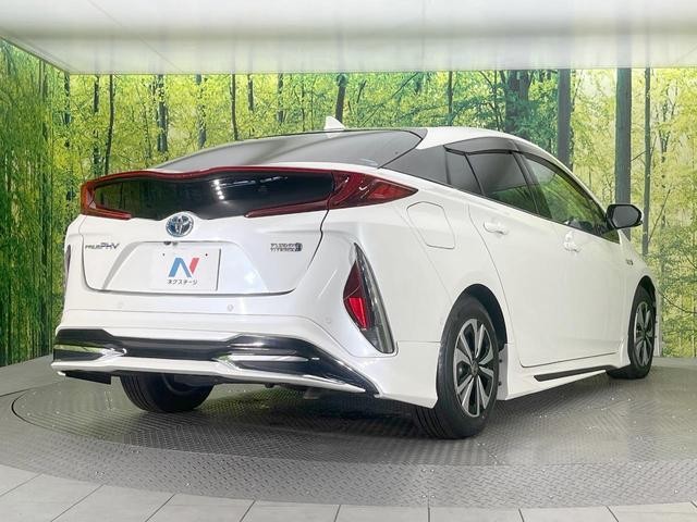 26468585_carP_l_12.jpg