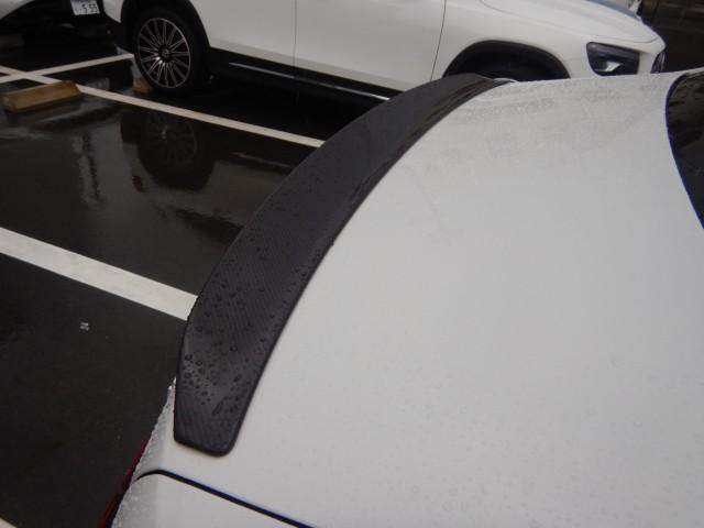 25081321_carP_l_7.jpg