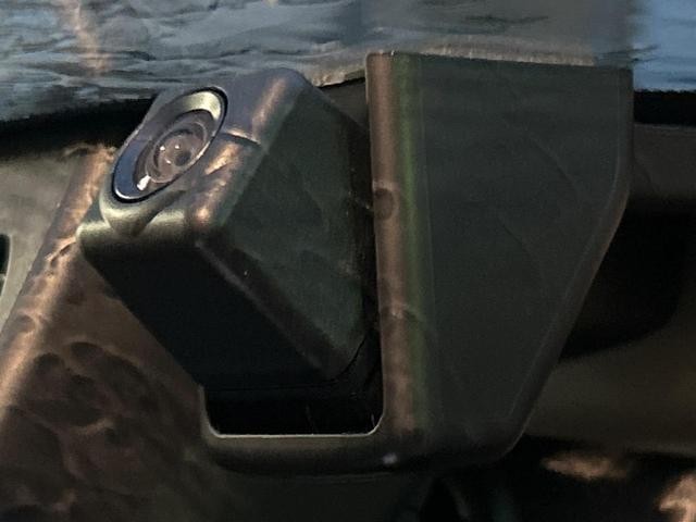26773448_carP_l_5.jpg