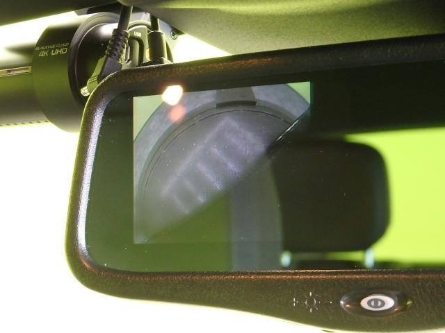 25957432_carP_l_13.jpg