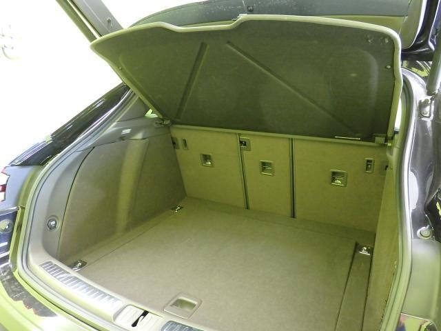25957432_carP_l_8.jpg