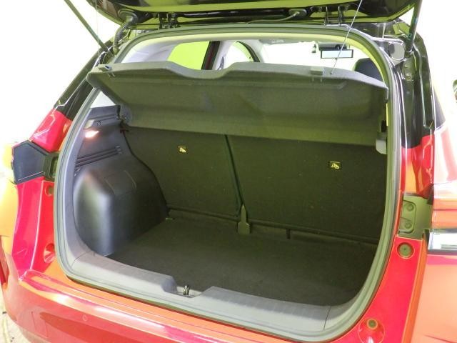 25957433_carP_l_6.jpg
