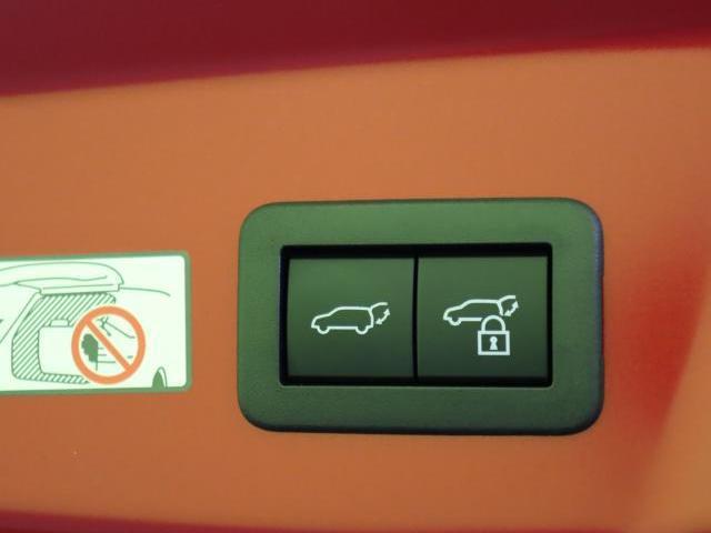 24596730_carP_l_5.jpg