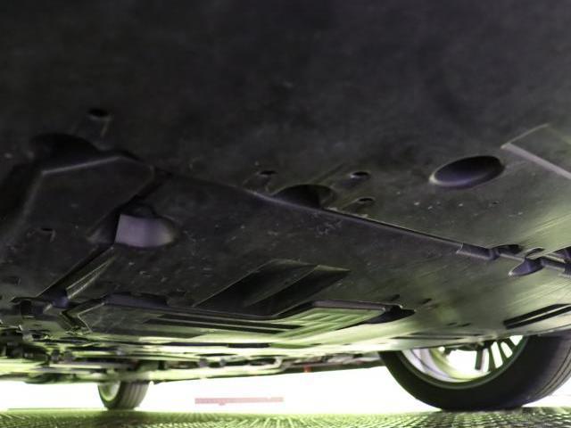24596730_carP_l_7.jpg