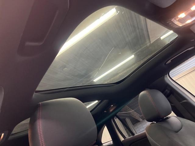 25829470_carP_l_4.jpg