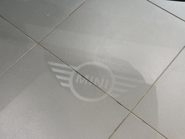 25364671_carP_l_2.jpg