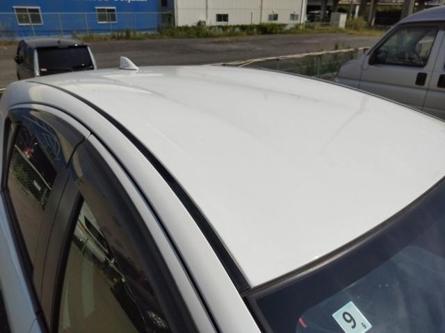 26089976_carP_l_14.jpg