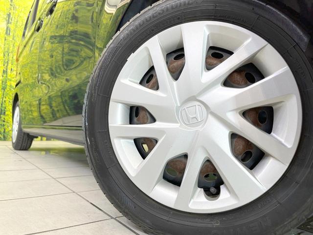 23753248_carP_l_6.jpg