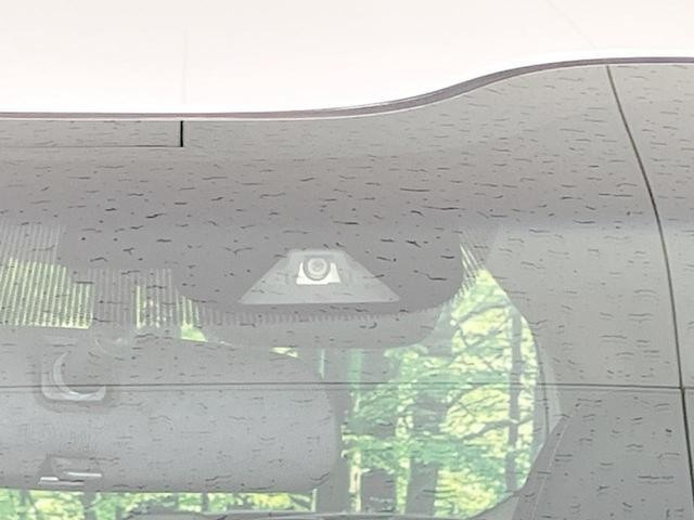 26146937_carP_l_13.jpg