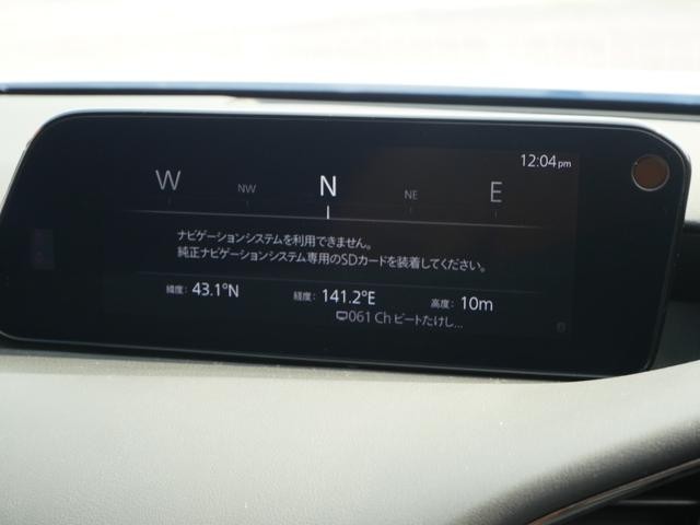 0303693A30260906W00306.jpg