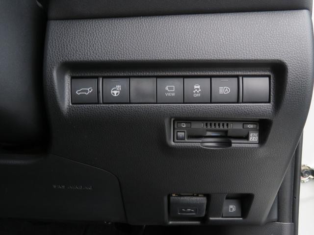 1002180A30260913W00211.jpg