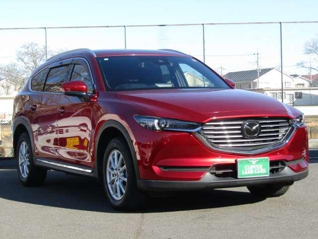 26350047_carP_l_1.jpg