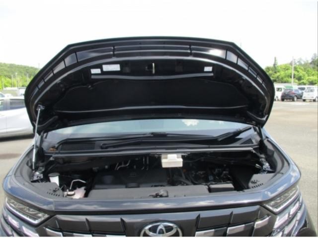 26069654_carP_l_5.jpg