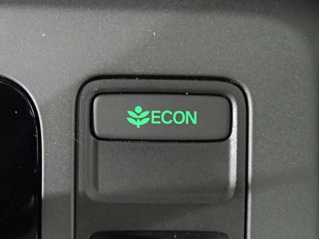 0230024A30260910W00210.jpg