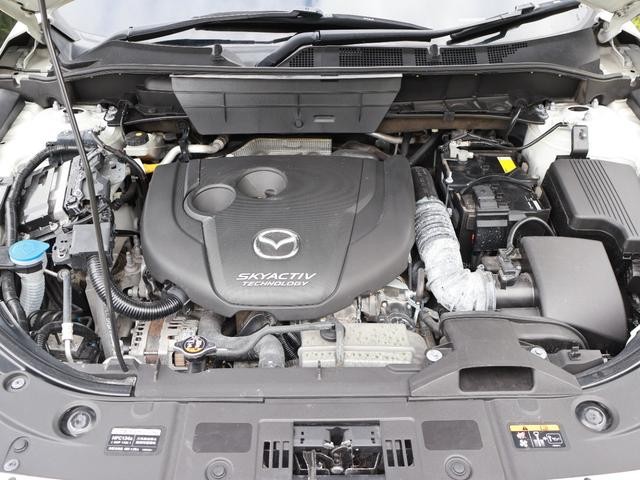 0303758A30260731W00119.jpg