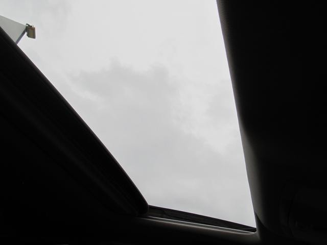 0504828A30260704W00117.jpg