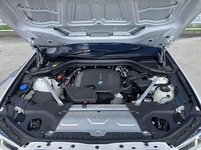 25219479_carP_l_12.jpg