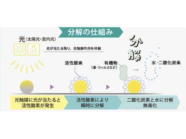0704443A30260619W00109.jpg