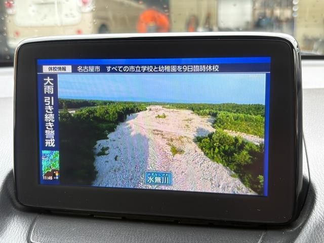 26351289_carP_l_8.jpg