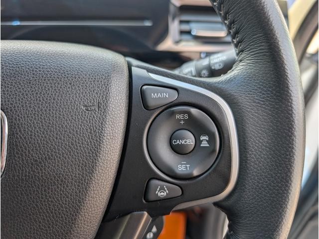 0730098A30260721W00211.jpg