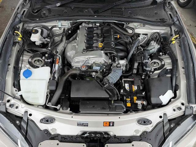0404529A30261025W00416.jpg