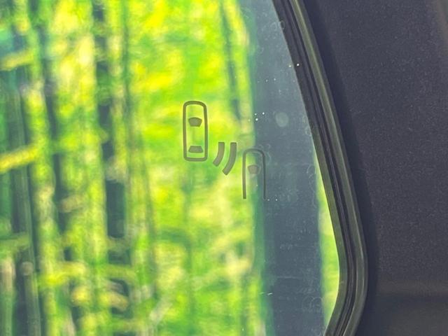 24747056_carP_l_13.jpg