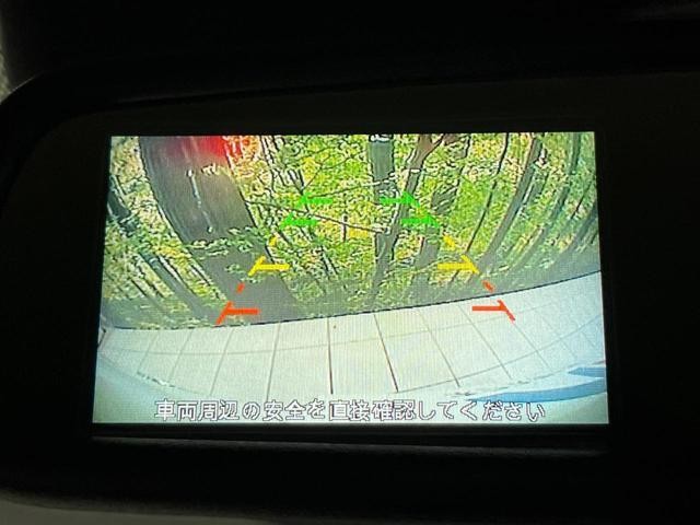 26147009_carP_l_4.jpg