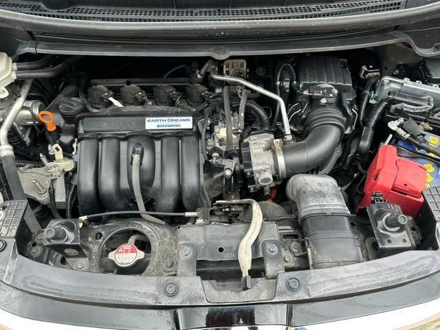26356010_carP_l_18.jpg