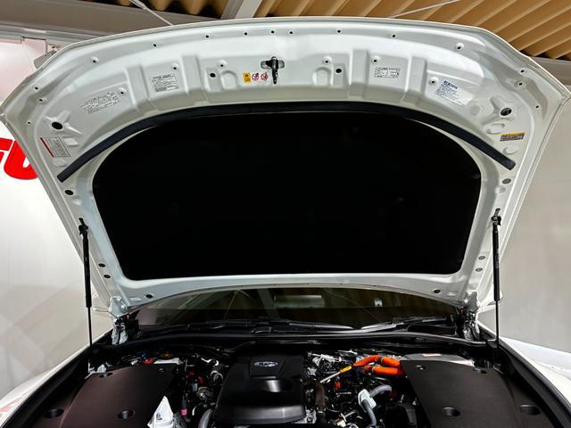 1020316A30260216W00105.jpg