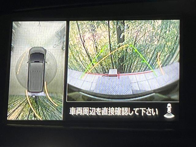 24133638_carP_l_4.jpg