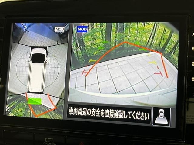 25963166_carP_l_4.jpg