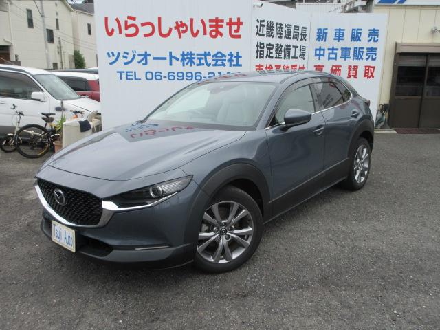 0700145A30260605W00101.jpg