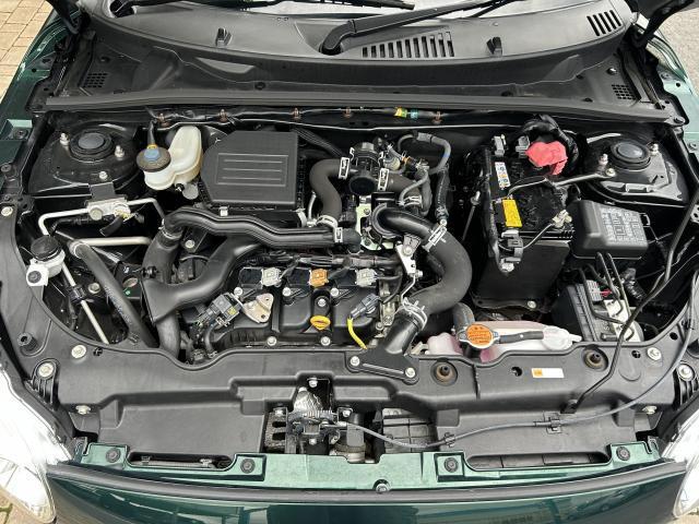 24938257_carP_l_16.jpg